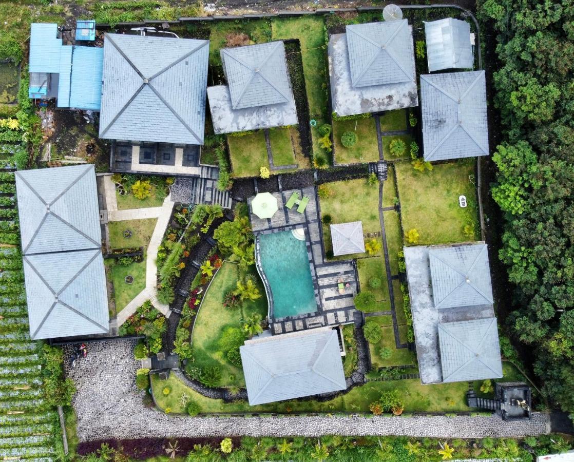 Batur Green Hill And Hot Spring Kintamani Exterior foto